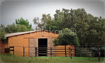 Ližnjan, prekrasno imanje u Istri. - 11