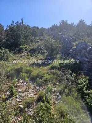 Agricultural land 12,000 m², Hvar Island - first row to the sea - 5