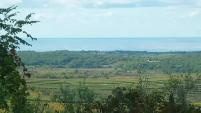 Buje – attraktives Grundstück mit Meerblick - 2