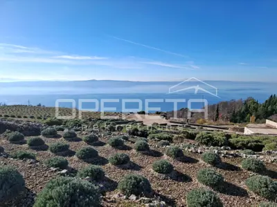Agricultural land in Podgora, sea view and privacy