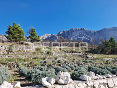Poljoprivredno zemljište u Podgori, pogled na more i privatnost - 4