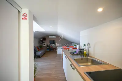 Crveni vrh - renovirana kuća s tri stambene jedinice - 7