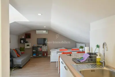 Crveni vrh - renovirana kuća s tri stambene jedinice - 6