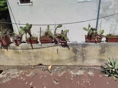 Kuća 160 m², Mali Lošinj - centar grada - 9