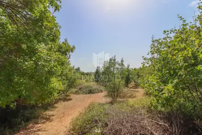Svetvinčenat, beautiful building plot in an idyllic location! - 5