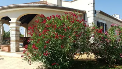 Haus 158 m², Poreč - ruhige Siedlung und Meerblick - 6