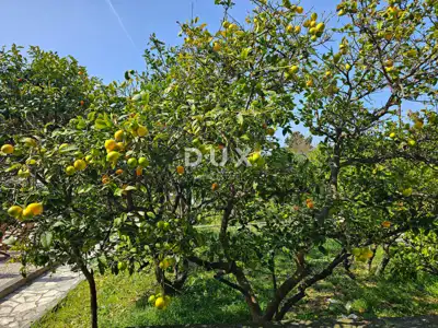 Haus 763 m², Barbat na Rabu - 2. Reihe zum Meer - 14