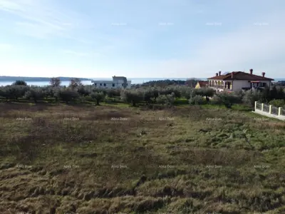 Semi-detached house 116 m², Antenal, pool and garden - 11