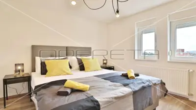 Vila sa pogledom na more i Velebit, 4 stambene jedinice sa bazenom - 9