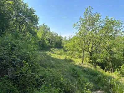 Prodaja- kombinirano zemljište s gradjevinskom dozbolom i pogledom na more, Grožnjan! - 8