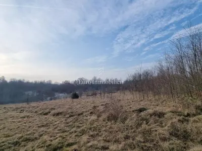 Agricultural land 13,245 m², Višnjan - access road