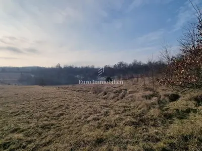 Agricultural land 13,245 m², Višnjan - access road - 2