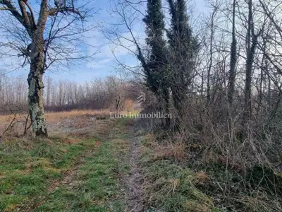 Agricultural land 13,245 m², Višnjan - access road - 3