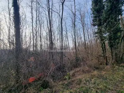 Agricultural land 13,245 m², Višnjan - access road - 4