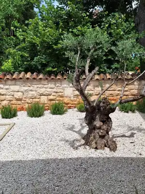 Kamena kuća 175 m², okolica Poreča, pogled na more - 16