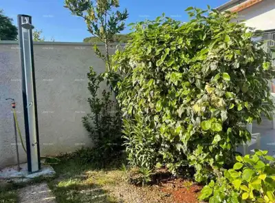 Prodaja kuće, udaljena 50 m od mora, Umag! - 2