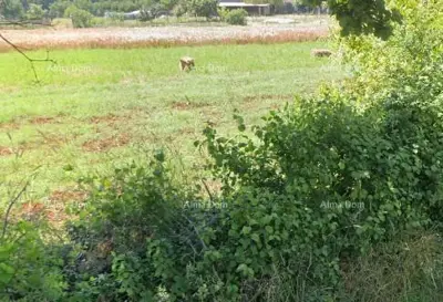 Građevinsko zemljište