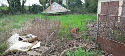 Kamena kuća 1800 m², Barban - građevinsko zemljište i pogled na Učku - 3
