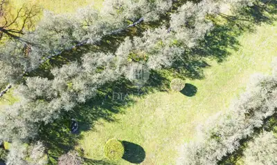 Baugrundstück 1.500 m², Poreč - Meerblick - 7
