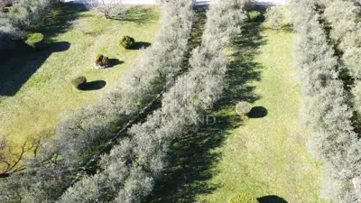 Građevinsko zemljište 1.500 m², Poreč - pogled na more