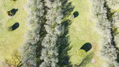Baugrundstück 1.500 m², Poreč - Meerblick - 8