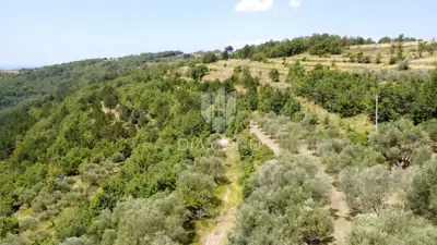 Grundstück 10.531 m², Oprtalj - touristische Zone T1/T2 - 2