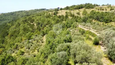 Grundstück 10.531 m², Oprtalj - touristische Zone T1/T2 - 3