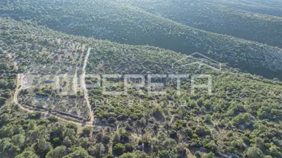 Landwirtschaftsfläche 7.647 m², Povlja - ruhige Lage - 2