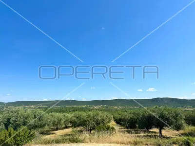 Landwirtschaftsfläche 45 000 m², Dazlina, fruchtbarer Boden - 7