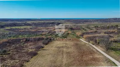 Land 1,036 m², Buje - open sea view - 9