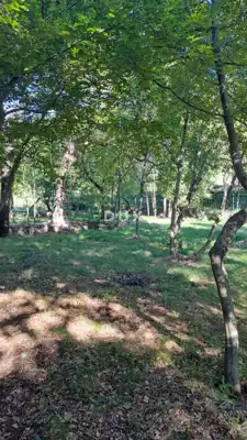 Baugrundstück, Povile - 500 m vom Meer - 7