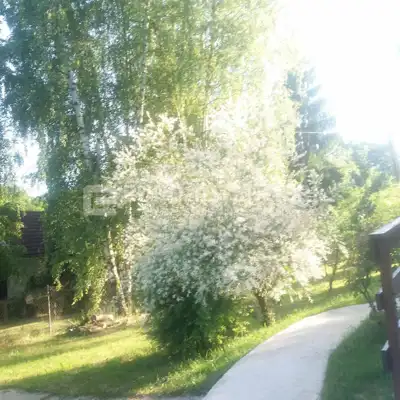 Vikend kuća 25 m², Podgarić - obnovljena i namještena - 2