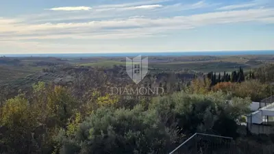 House 384 m², Buje - sea and olive grove views - 3