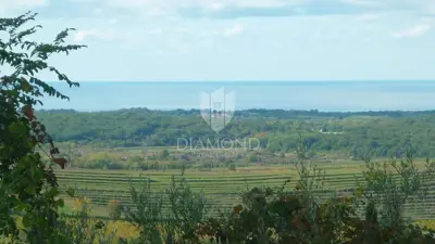 House 384 m², Buje - sea and olive grove views - 22