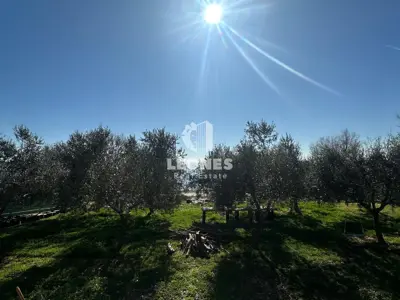 Baugrundstück, Lovrečica, 10 m vom Meer und Meerblick - 6
