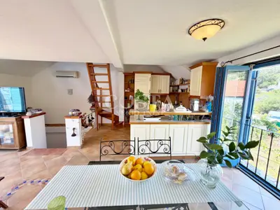 VELI IŽ - Mediteranska kuća u nizu 150 m od mora - 21