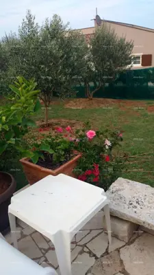 Prodaje se samostojeća kuća, 175 m², Marčana - 8