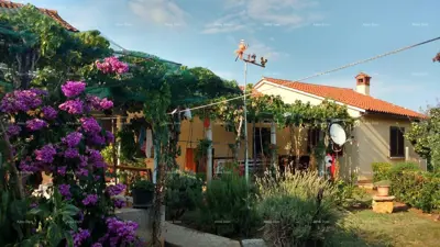 Prodaje se samostojeća kuća, 175 m², Marčana