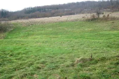 Građevinsko zemljište 5 141 m², Sveta Nedelja, mirna lokacija