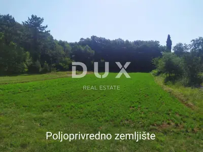 Građevinsko zemljište 2.269 m², Tinjan - mogućnost gradnje 3 vile - 3