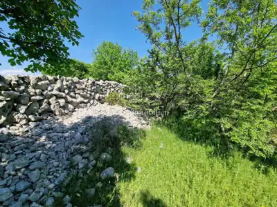 Agricultural land, Pinezići na Krku, flat and regular in shape - 3