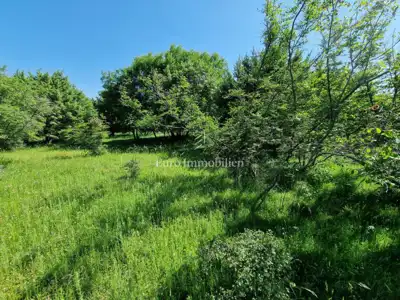 Agricultural land, Pinezići na Krku, flat and regular in shape - 2