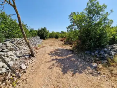 Agricultural land, Pinezići na Krku, flat and regular in shape - 6