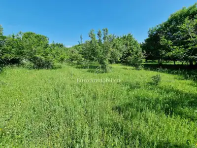Agricultural land, Pinezići na Krku, flat and regular in shape