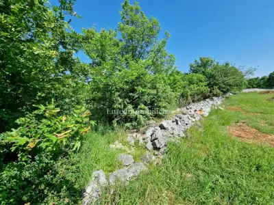 Agricultural land, Pinezići na Krku, flat and regular in shape - 4