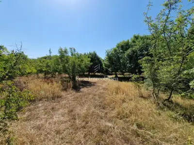 Agricultural land, Pinezići na Krku, flat and regular in shape - 7