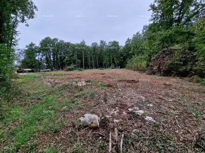 Prodaje se građevinsko zemljište od 1236 m², s građevinskom dozvolom i projektom, Brtonigla - 3