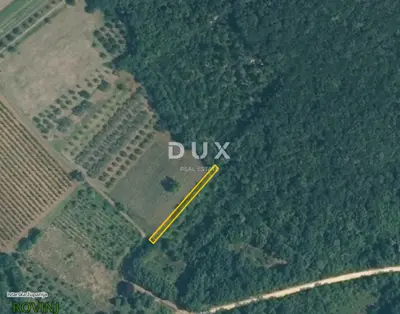 Land, Rovinj - olive grove in a quiet location - 2