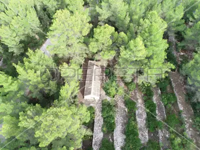 Poljoprivredno zemljište 4 146 m², Prigradica, pogled na more - 13