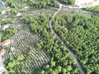 Poljoprivredno zemljište 4 146 m², Prigradica, pogled na more - 18